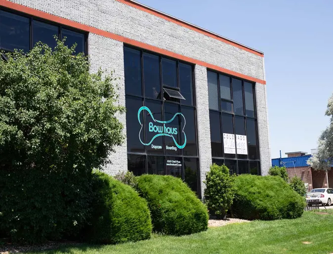 Bowhaus Boulder facility, expert dog daycare, boarding, and grooming services in Boulder, Colorado.